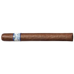 Casa De Nicaragua Churchill